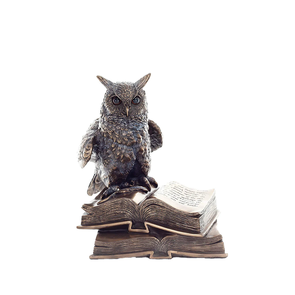 Wise Owl on Books — Bronze-Finish Statue – 17 cm – view 1