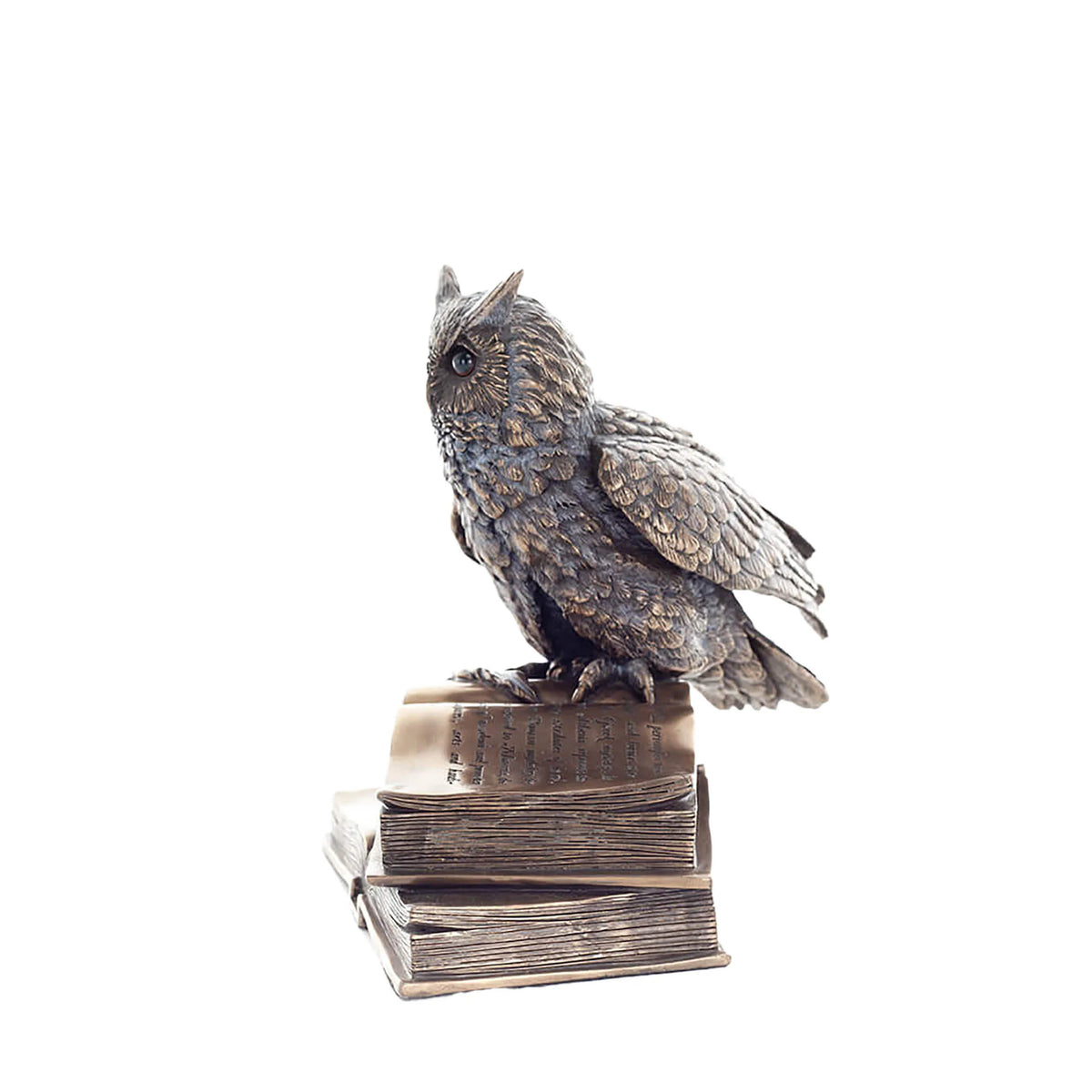 Wise Owl on Books — Bronze-Finish Statue – 17 cm – view 2