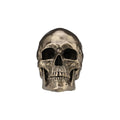 Realistic Skull — Bronze Finish Statue, 22 × 16 cm – view 1