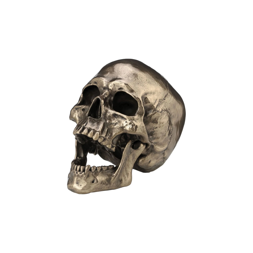 Realistic Skull — Bronze Finish Statue, 22 × 16 cm – view 2